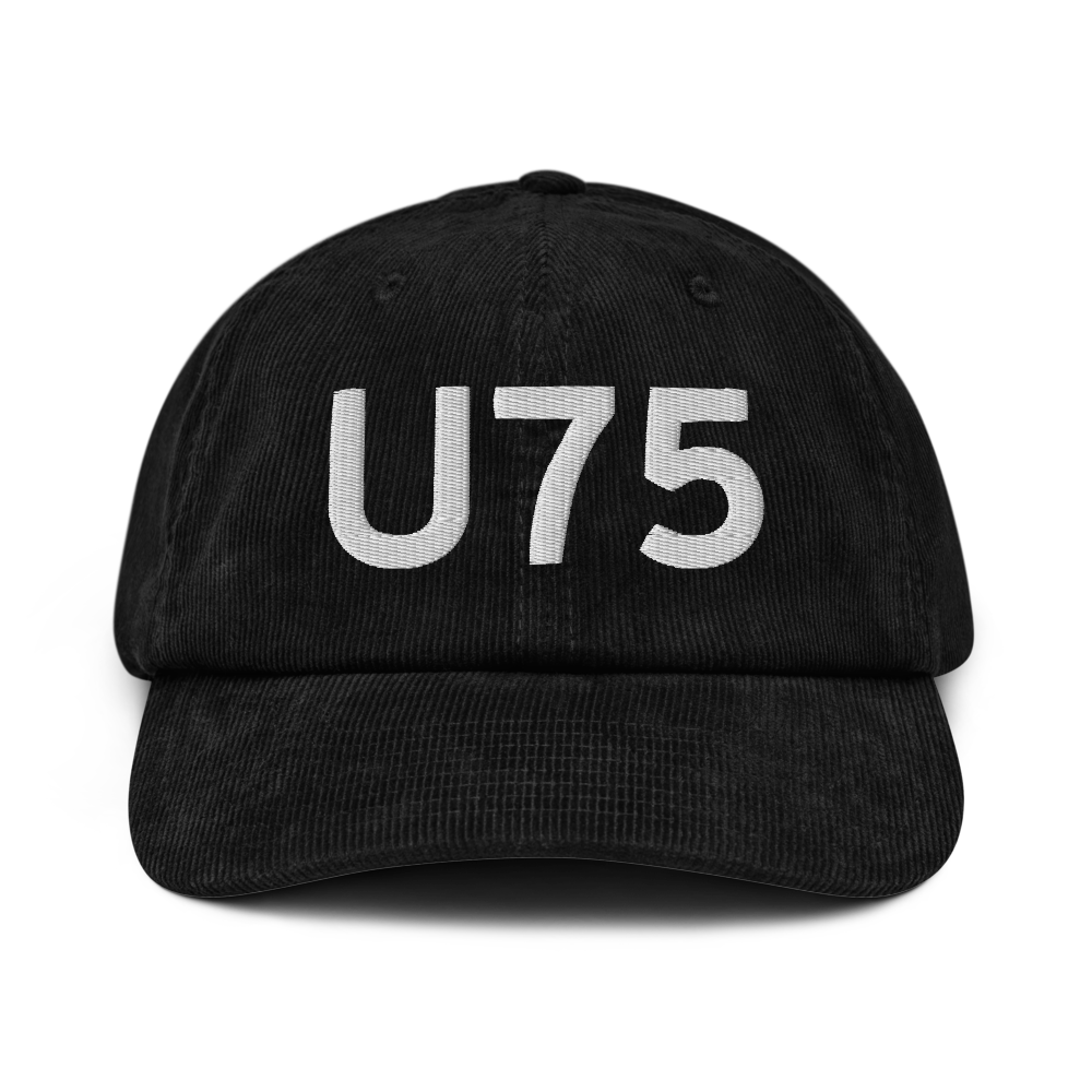 Amargosa Valley (LTH) Airport Hat 