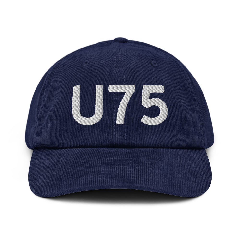 Amargosa Valley (LTH) Airport Hat 