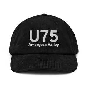 Amargosa Valley (LTH) Airport Hat