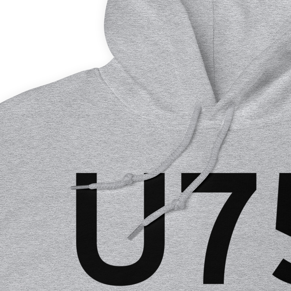 Amargosa Valley (LTH) Airport Hoodie Sweatshirt 