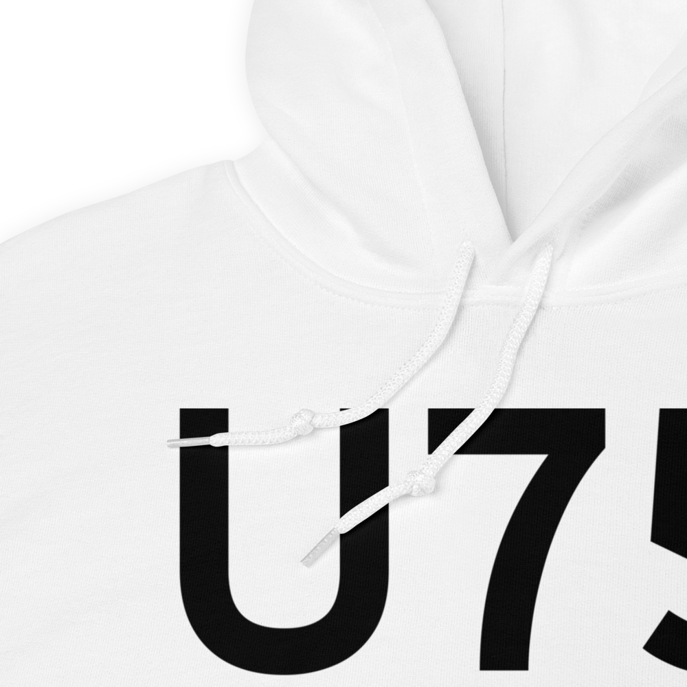Amargosa Valley (LTH) Airport Hoodie Sweatshirt 