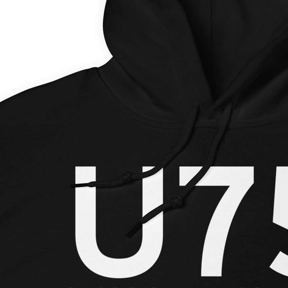 Amargosa Valley (LTH) Airport Hoodie Sweatshirt 