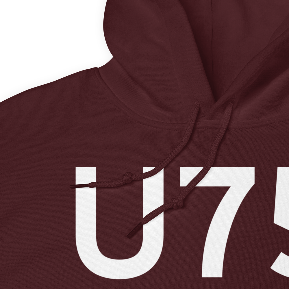Amargosa Valley (LTH) Airport Hoodie Sweatshirt 
