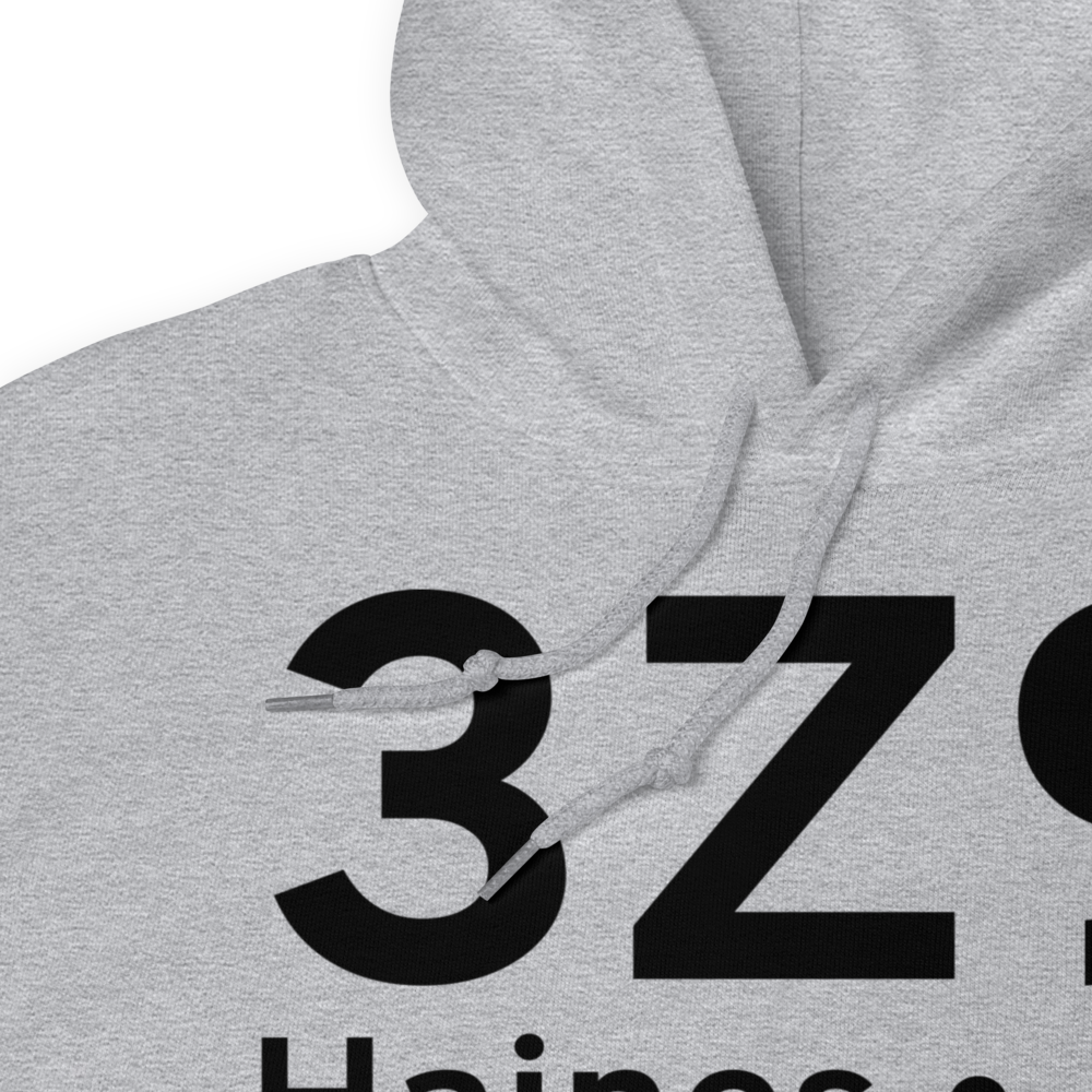 Haines (3Z9) Airport Hoodie Sweatshirt 