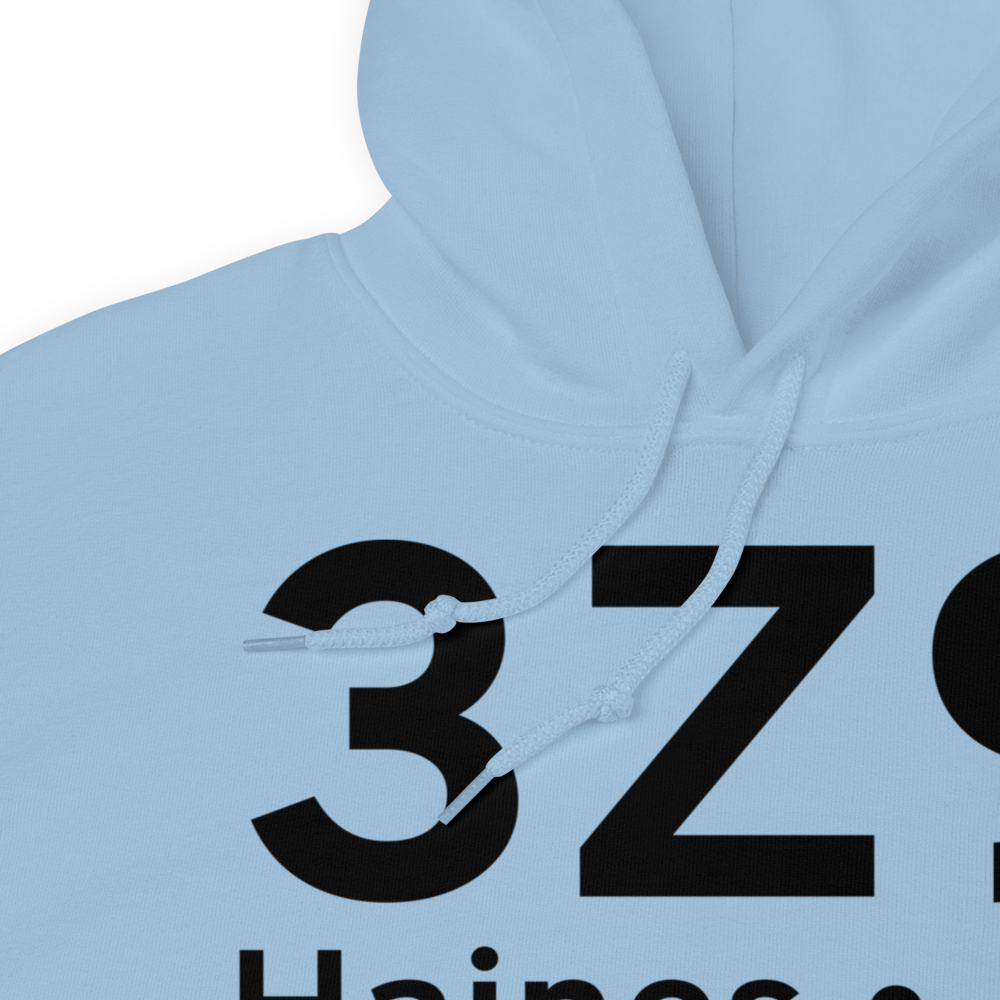 Haines (3Z9) Airport Hoodie Sweatshirt 