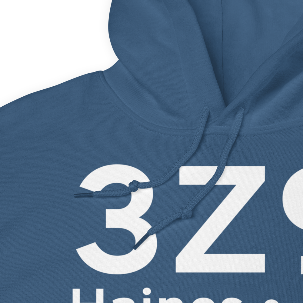 Haines (3Z9) Airport Hoodie Sweatshirt 