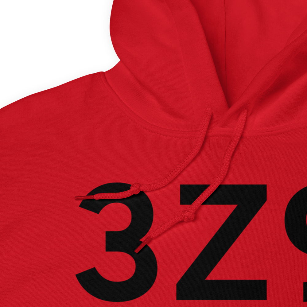 Haines (3Z9) Airport Hoodie Sweatshirt 