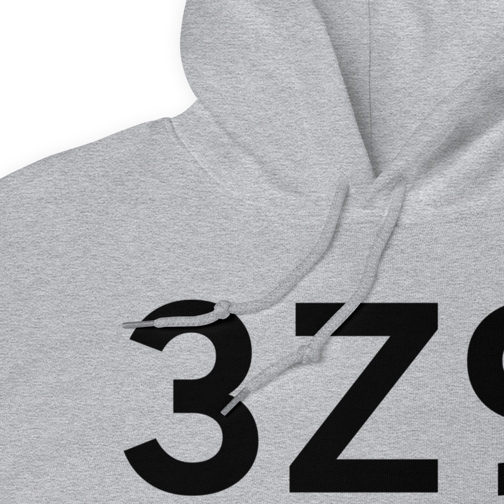 Haines (3Z9) Airport Hoodie Sweatshirt 