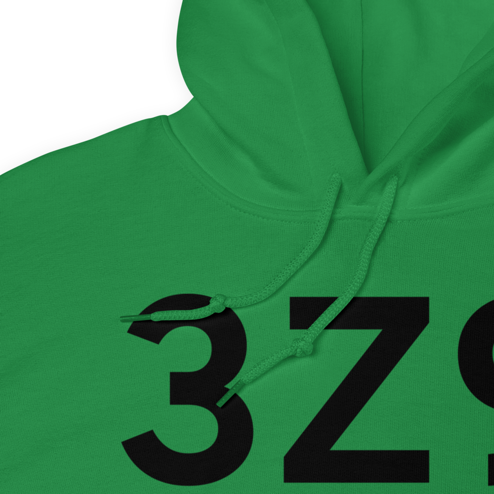 Haines (3Z9) Airport Hoodie Sweatshirt 