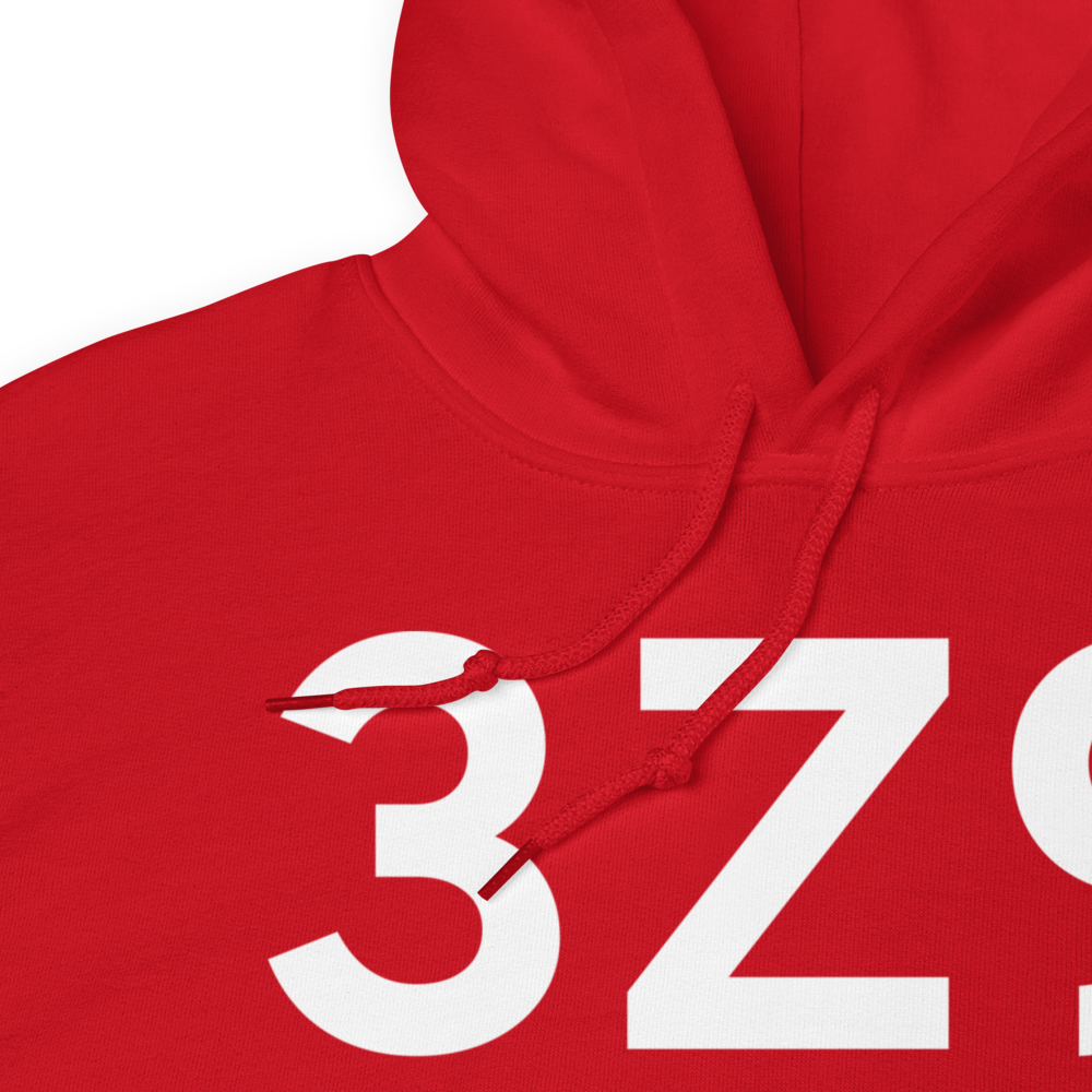 Haines (3Z9) Airport Hoodie Sweatshirt 