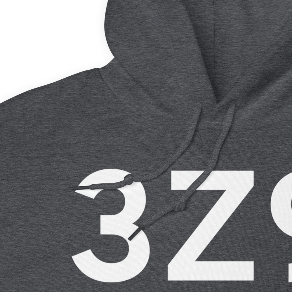 Haines (3Z9) Airport Hoodie Sweatshirt 