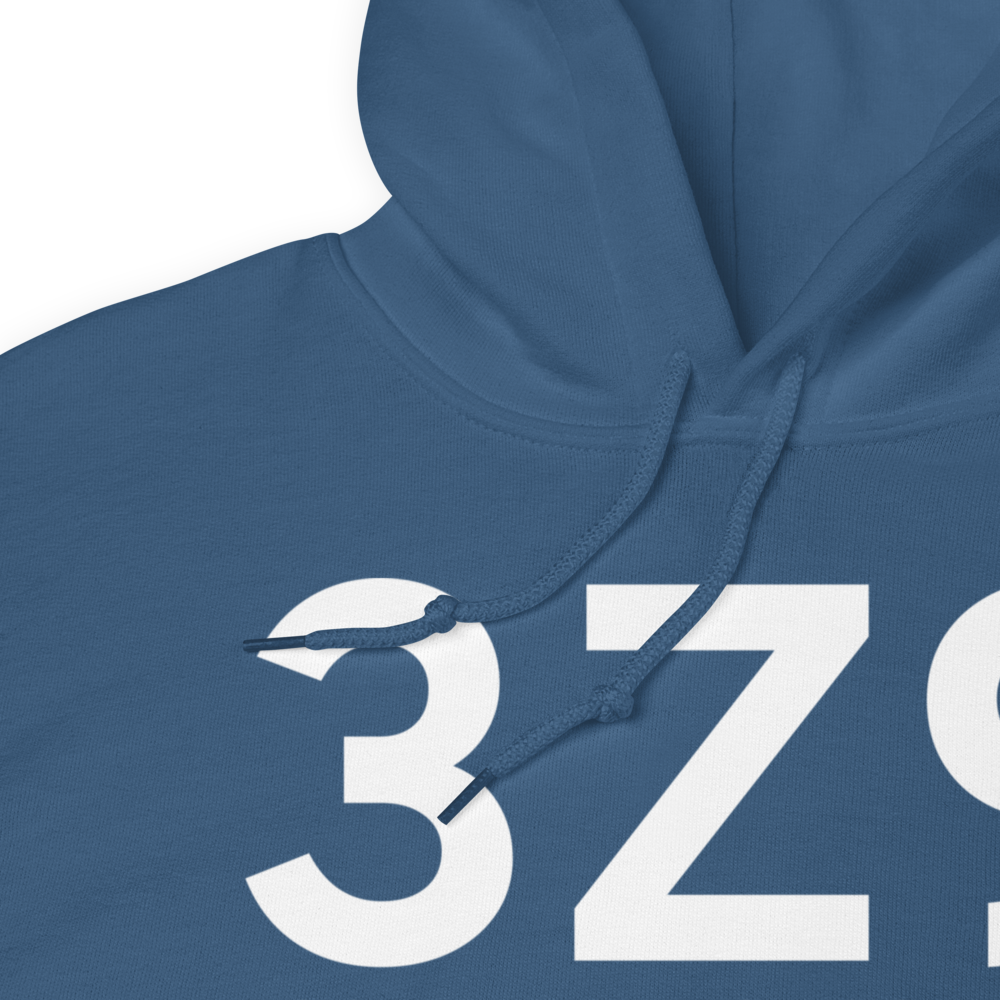 Haines (3Z9) Airport Hoodie Sweatshirt 
