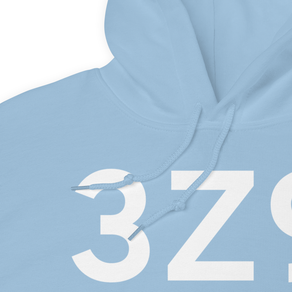 Haines (3Z9) Airport Hoodie Sweatshirt 