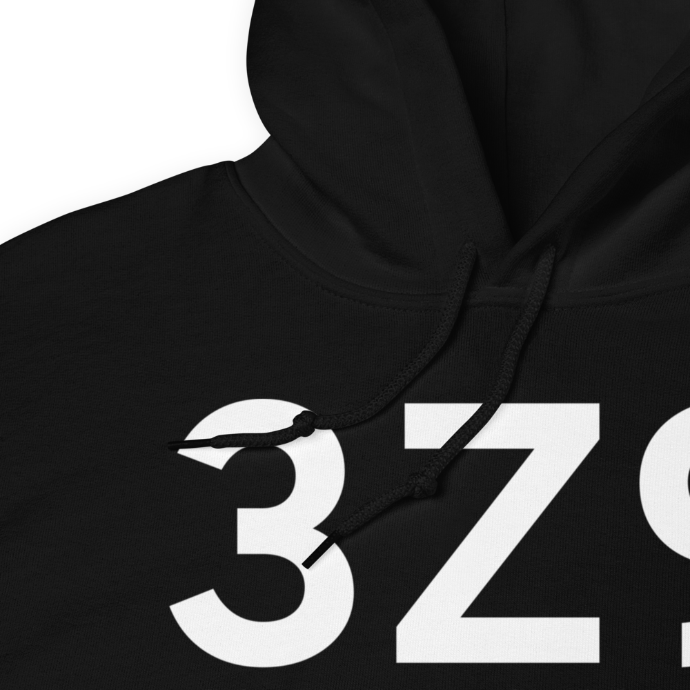 Haines (3Z9) Airport Hoodie Sweatshirt 
