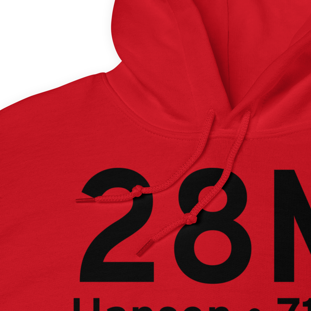 Hanson (28M) Airport Hoodie Sweatshirt 