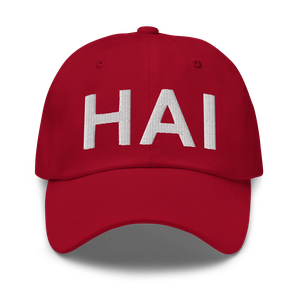 Three Rivers (KHAI) Airport Hat
