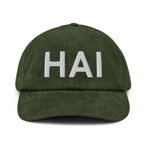 Three Rivers (KHAI) Airport Hat