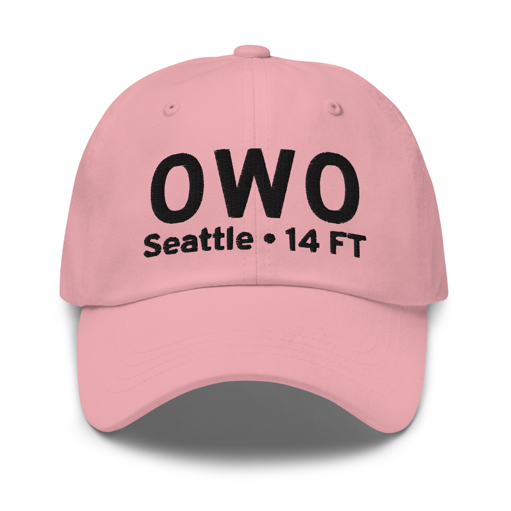 Seattle (0W0) Airport Hat 