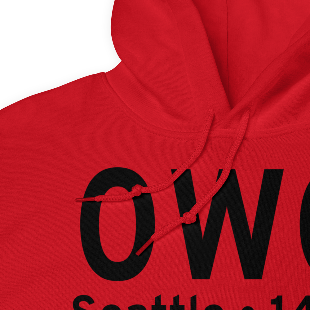 Seattle (0W0) Airport Hoodie Sweatshirt 