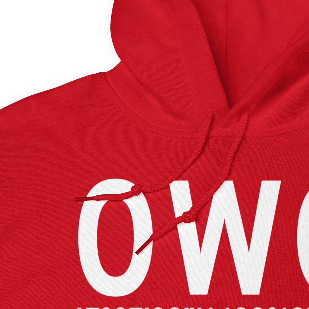 Seattle (0W0) Airport Hoodie Sweatshirt 