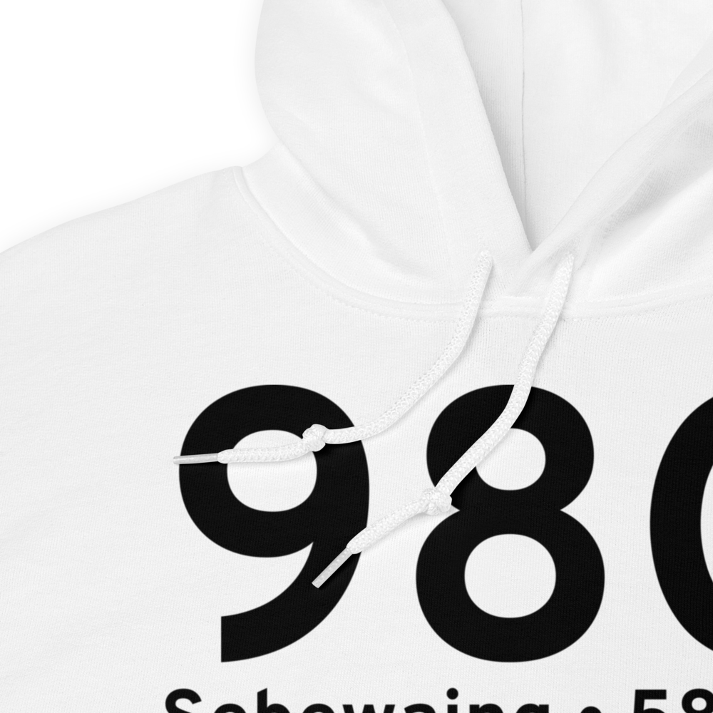 Sebewaing (98G) Airport Hoodie Sweatshirt 