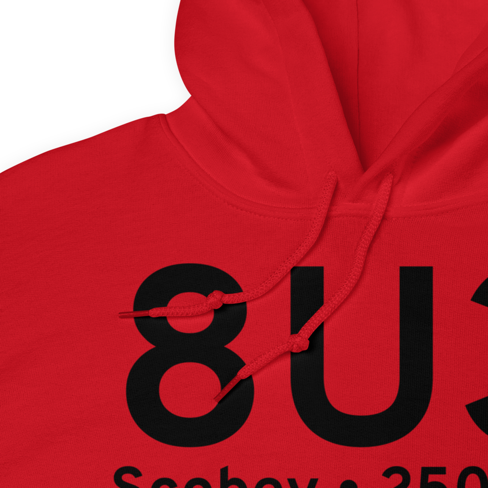 Scobey (8U3) Airport Hoodie Sweatshirt 