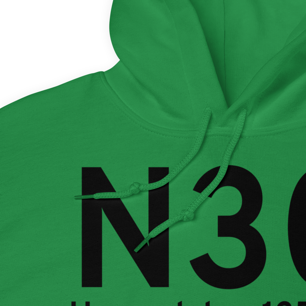 Honesdale (N30) Airport Hoodie Sweatshirt 