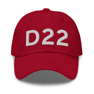  (D22) Airport Hat