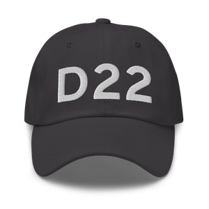  (D22) Airport Hat