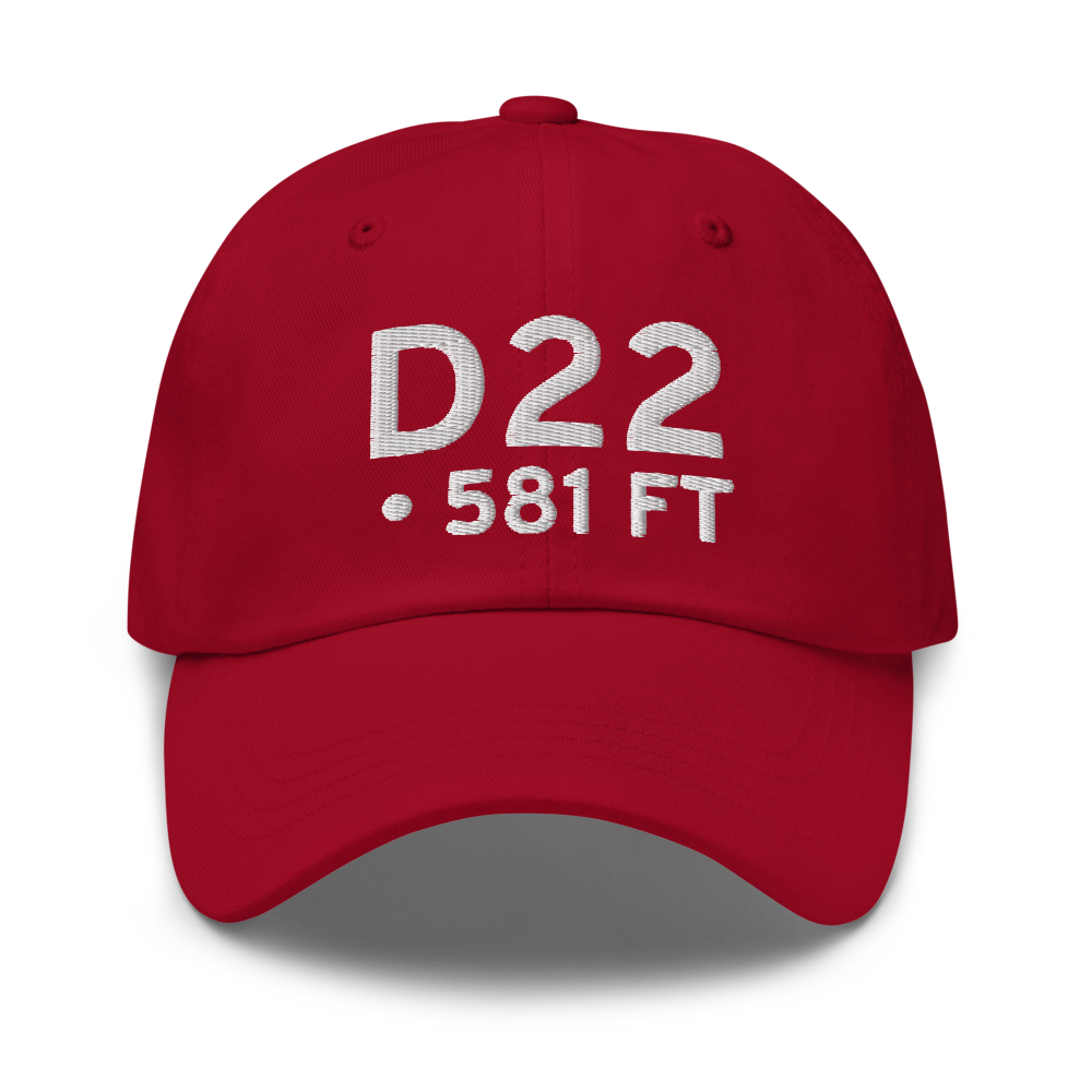  (D22) Airport Hat 