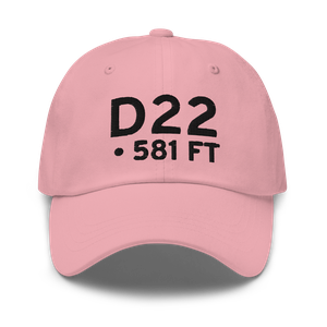  (D22) Airport Hat