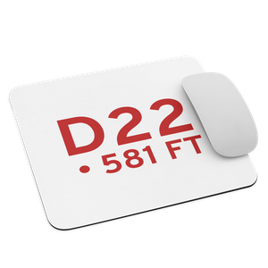  (D22) Airport  Mouse Pad