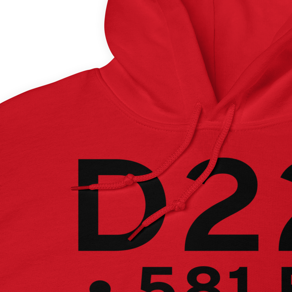  (D22) Airport Hoodie Sweatshirt 