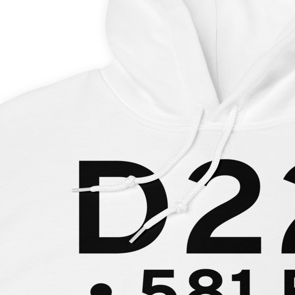  (D22) Airport Hoodie Sweatshirt 
