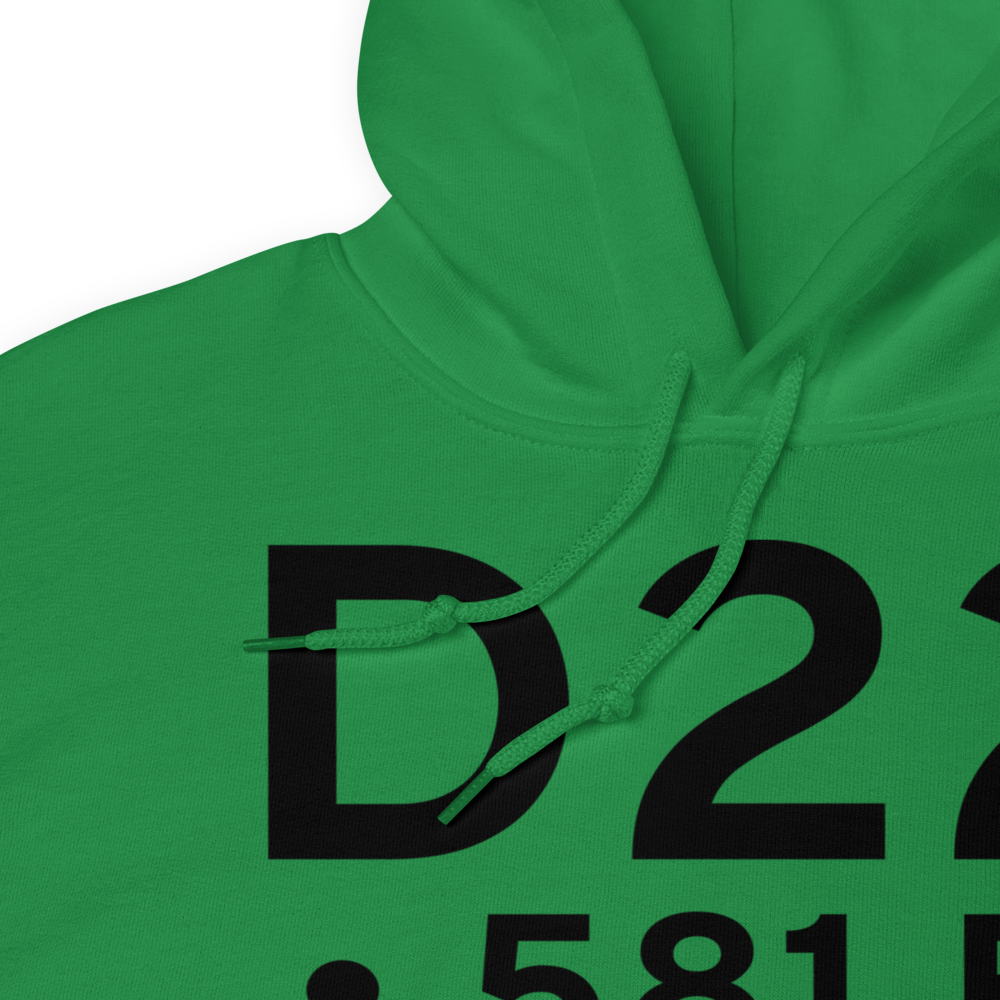  (D22) Airport Hoodie Sweatshirt 