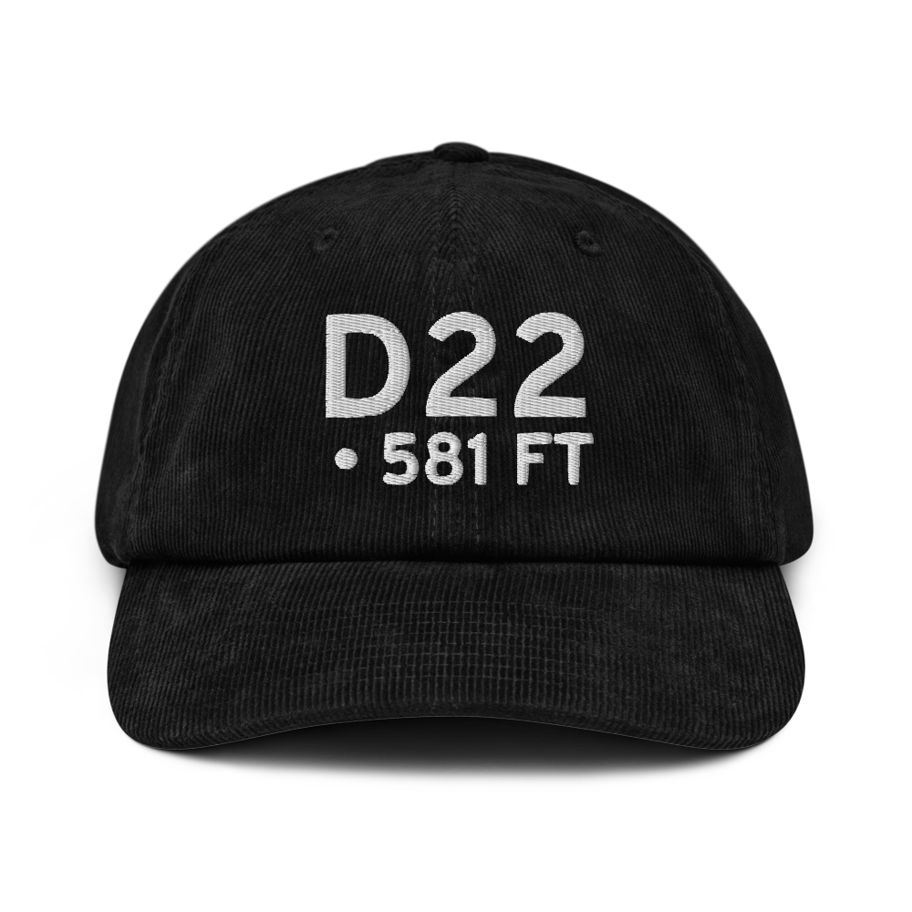  (D22) Airport Hat 