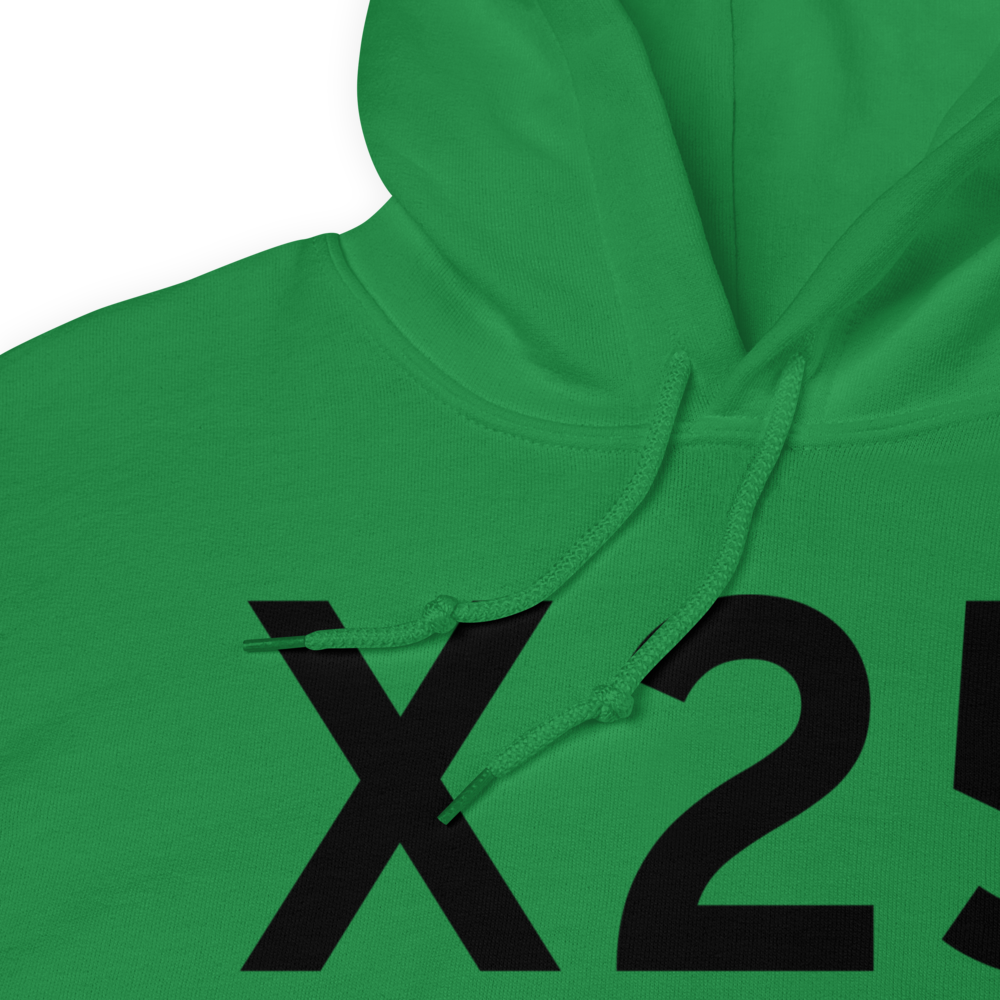Lake Wales (X25) Airport Hoodie Sweatshirt 