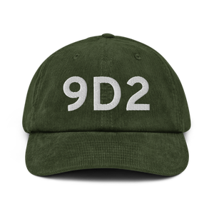 Buffalo (K9D2) Airport Hat