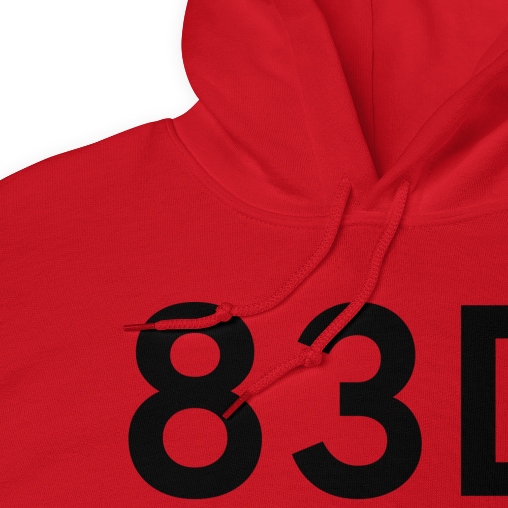 St Ignace (K83D) Airport Hoodie Sweatshirt 