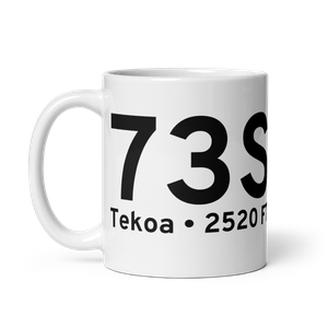 Tekoa (73S) Airport Mug