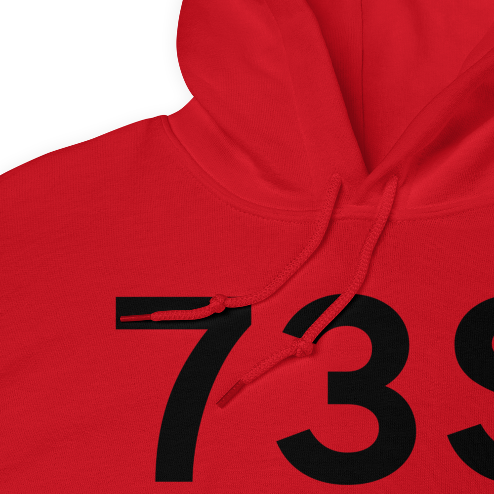 Tekoa (73S) Airport Hoodie Sweatshirt 