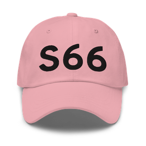 Homedale (S66) Airport Hat