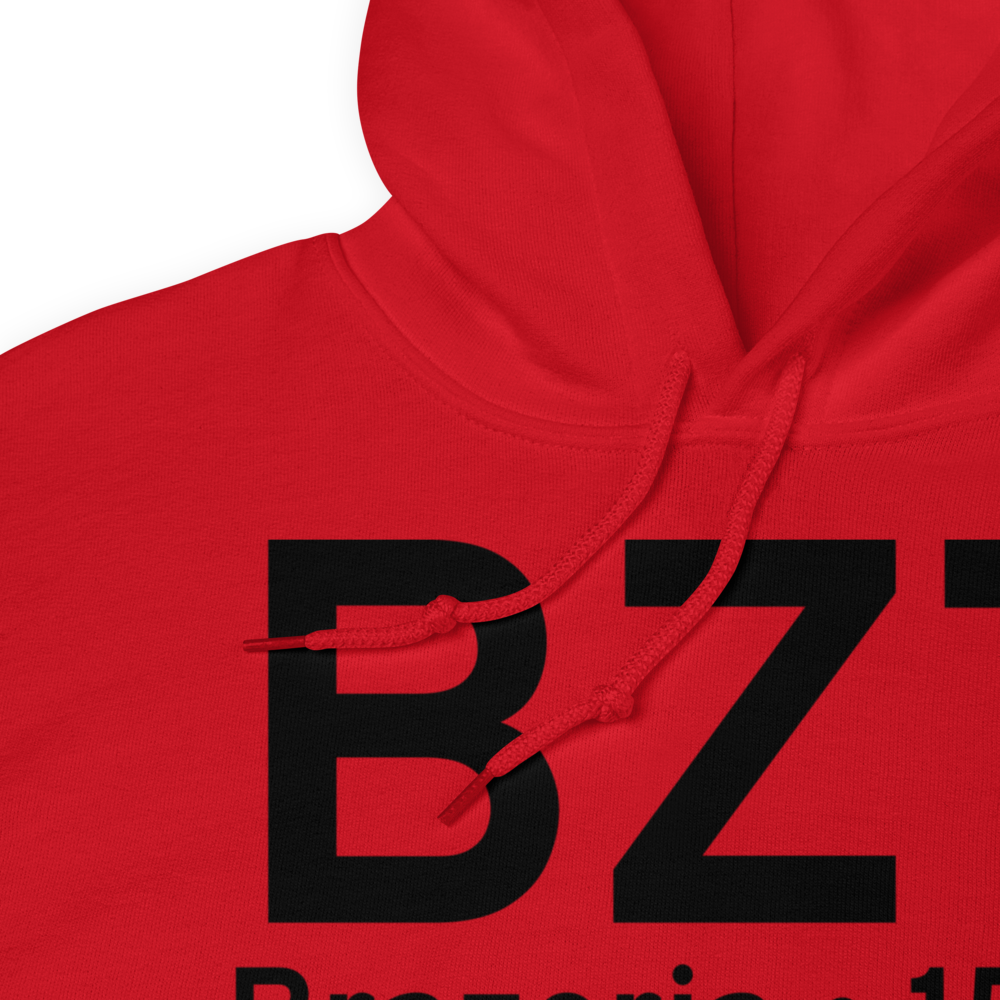 Brazoria (2TE0) Airport Hoodie Sweatshirt 