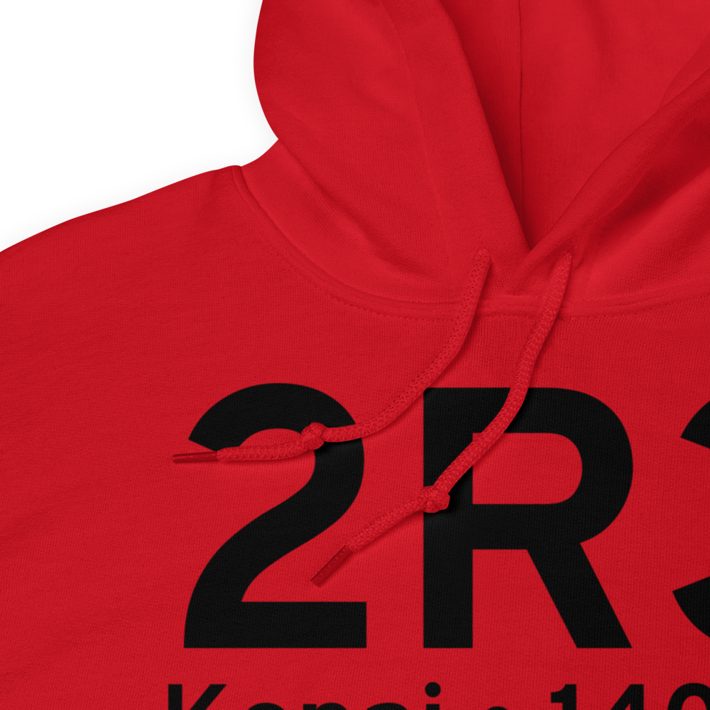 Kenai (2R3) Airport Hoodie Sweatshirt 