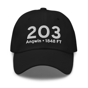 Angwin (K2O3) Airport Hat