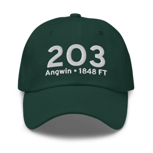 Angwin (K2O3) Airport Hat
