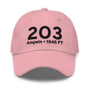 Angwin (K2O3) Airport Hat