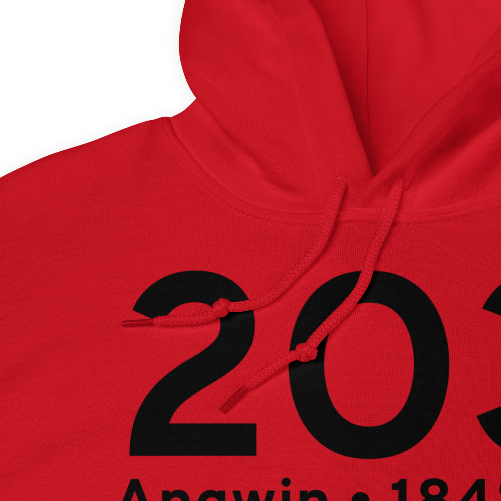 Angwin (K2O3) Airport Hoodie Sweatshirt 