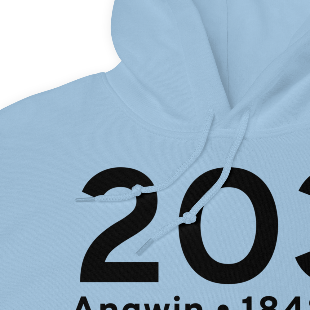 Angwin (K2O3) Airport Hoodie Sweatshirt 