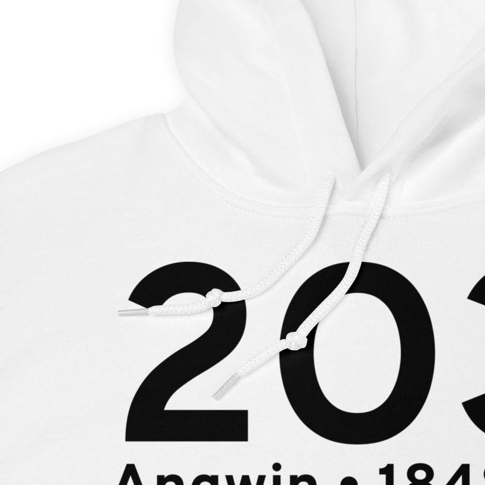 Angwin (K2O3) Airport Hoodie Sweatshirt 